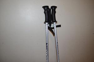 poles salomon