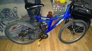 21speed blue mongoose mountain bike