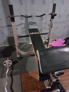 Adjustable multi weight bench