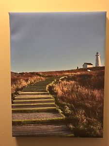 Cape spear canvas 13x19 inches