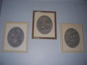 3 David Andrews bird prints in wood frames