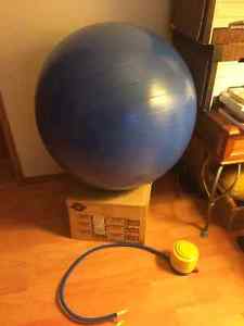 Twist Ball 75 cm with foot pump