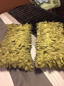 2 practically new Silky Sage Green Accent Pillows