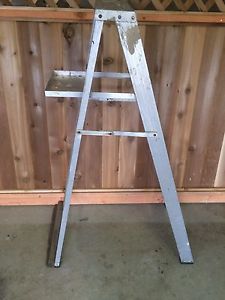 5 Foot Aluminum Ladder.