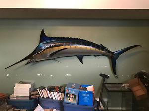 9 Foot Sailfish Blue Marlin Swordfish WALL MOUNT