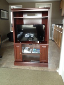 Entertainment Unit