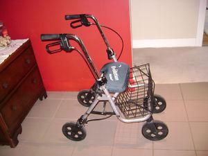 Evolution Walker