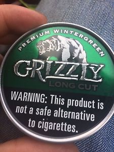 Grizzly wintergreen