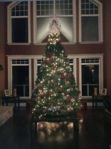 New Christmas tree