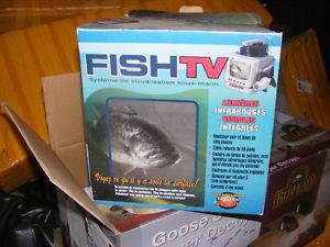fish tv