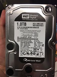 1TB desktop Western Digital Black drive