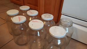 8 large jars 