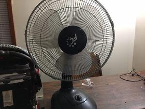 Fan