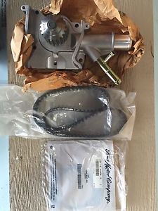 Ford Focus  water pump, gasket and belt