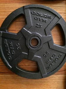 Golds gym plates