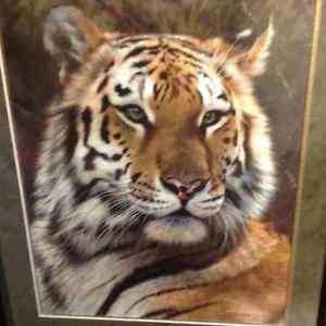 Last Watch- Bengal Tiger Limited Edition Print