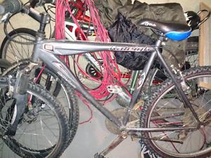 Raleigh mountain bike