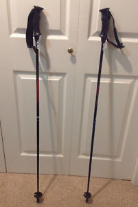Rosingnol Ski Poles