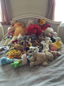 Soft toys 50 in total