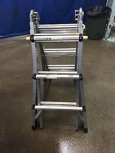 Wanted: Master craft Ladder 13'