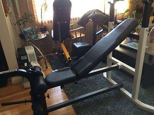 Northern Light Workout Bench