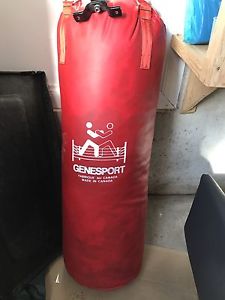 Punching Bag