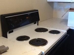 Self-Cleaning Convection Stove