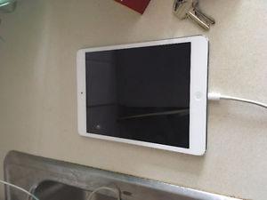 iPad Mini 2 (16Gb)