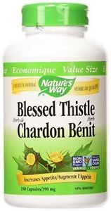 Blessed Thistle--breastfeeding supplement