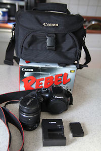 Canon Rebel T3 With EF-S  Lens