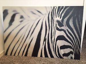 Canvas zebra print