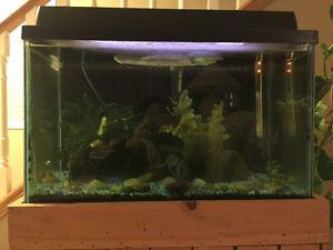 Fish tank with stand and accessories