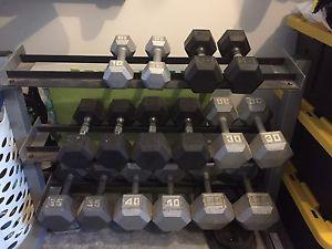 Hex Dumbells and weight rwck