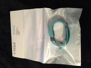 Large Teal Fitbit Charge HR