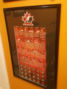  Team canada medallion collection framed with patch.