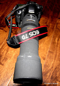 Wanted: Canon  f/2.8 IS for my 7D camera + Sigma 500mm