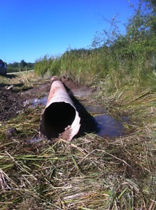 Wanted: WANTED. Culvert