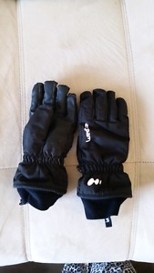 Winter Cotton Cap and Waterproof Gloves for boy