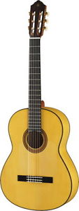 Flamenco guitar