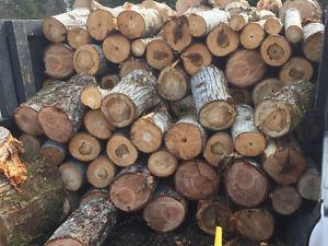 Maple and Gary oak green firewood
