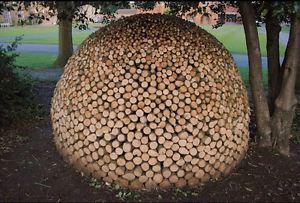 Round log wood