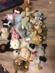 Wanted: 25 webkinz collectables