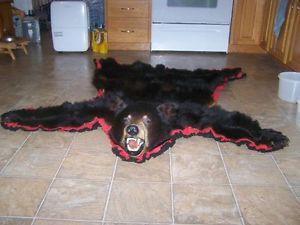 bear rug