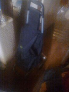 2 wheeled back pack dolly