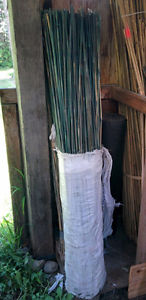 5' Bamboo stakes (green)