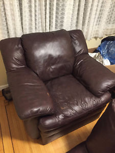 Brown Leather Single cushion couch