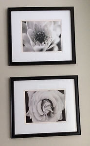 FRAMED BLACK AND WHITE PICS