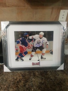 Ladislav Smid signed and framed picture
