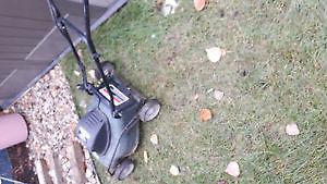 Nice compact electric lawnmower