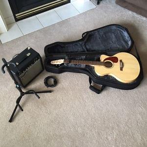 Seagull Natural Elements Acoustic/Electric Guitar